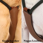 Essential Harness DEEP GREEN