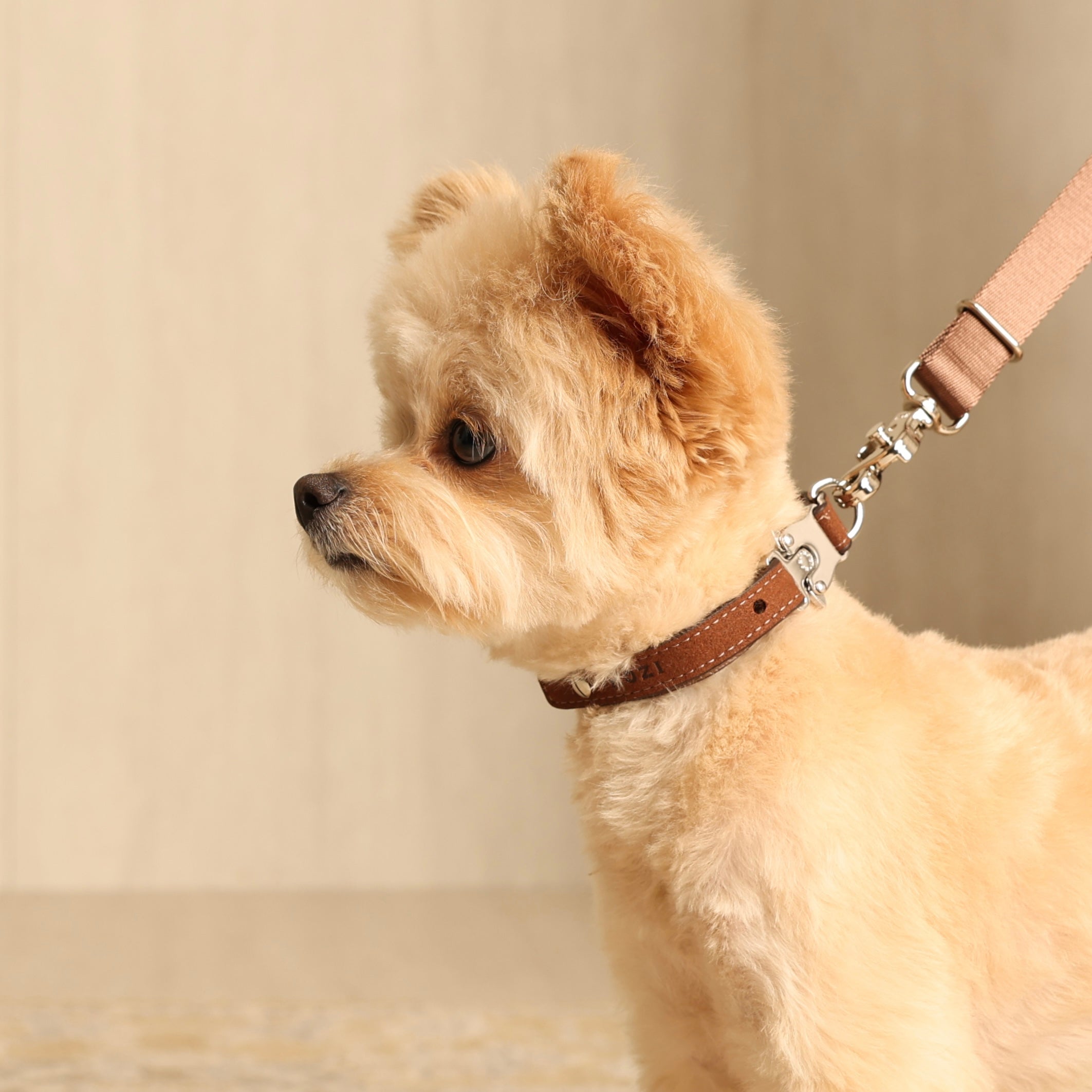 Saddle Strap_CAMEL