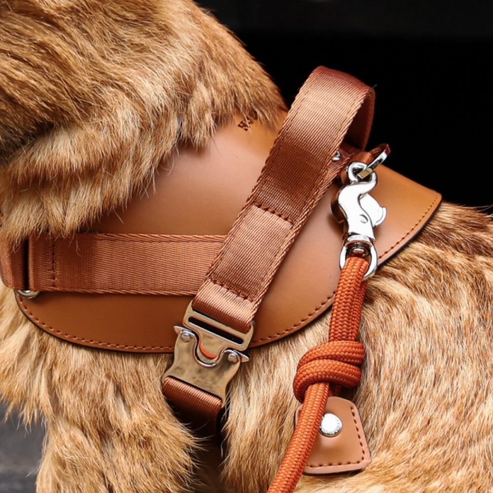 Saddle Harness_CAMEL