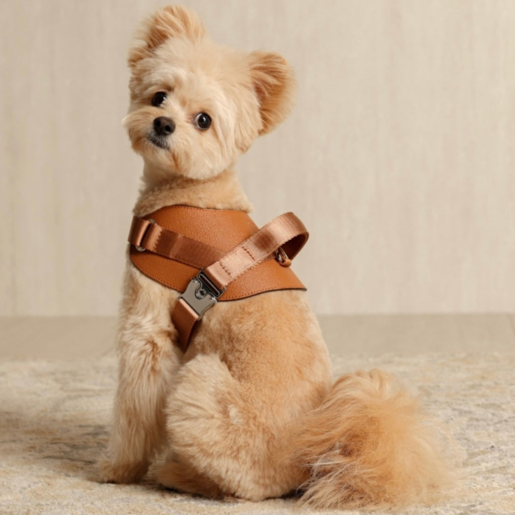 Saddle Harness_CAMEL