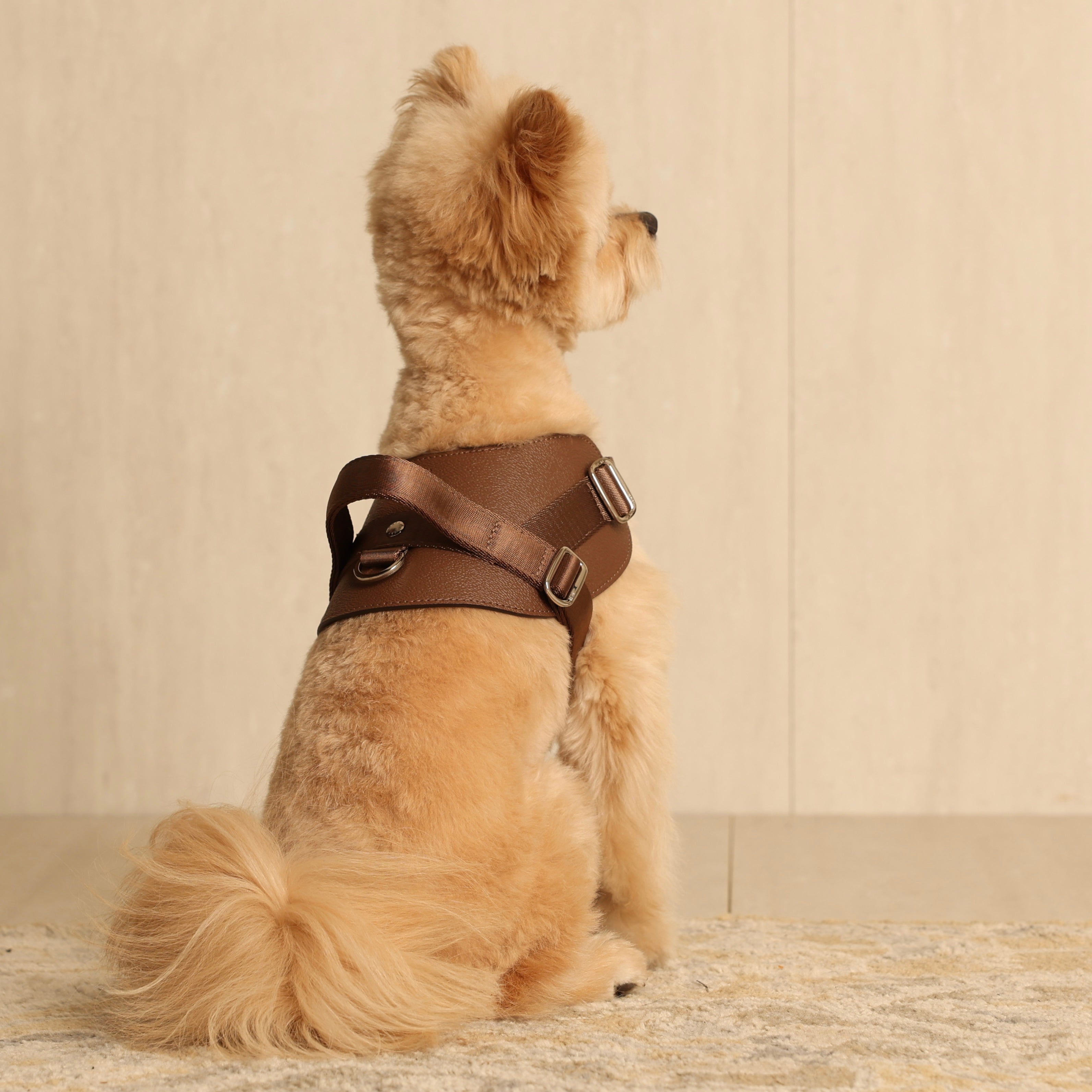 Saddle Harness_MOCHA