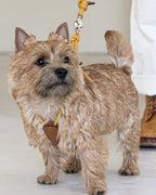 Essential Harness MUSTARD
