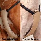 Essential Harness NAVY