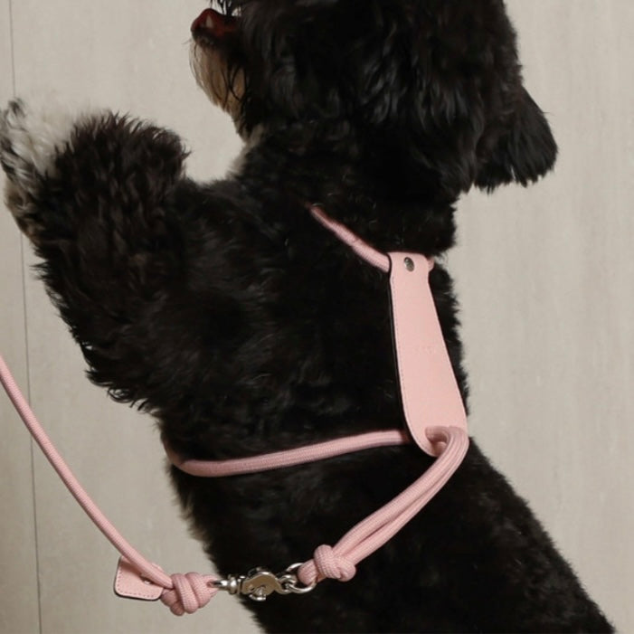 Essential Harness_PINK