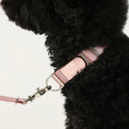 Buckle Strap_PINK