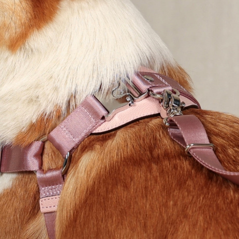 Horsebit Harness_PINK