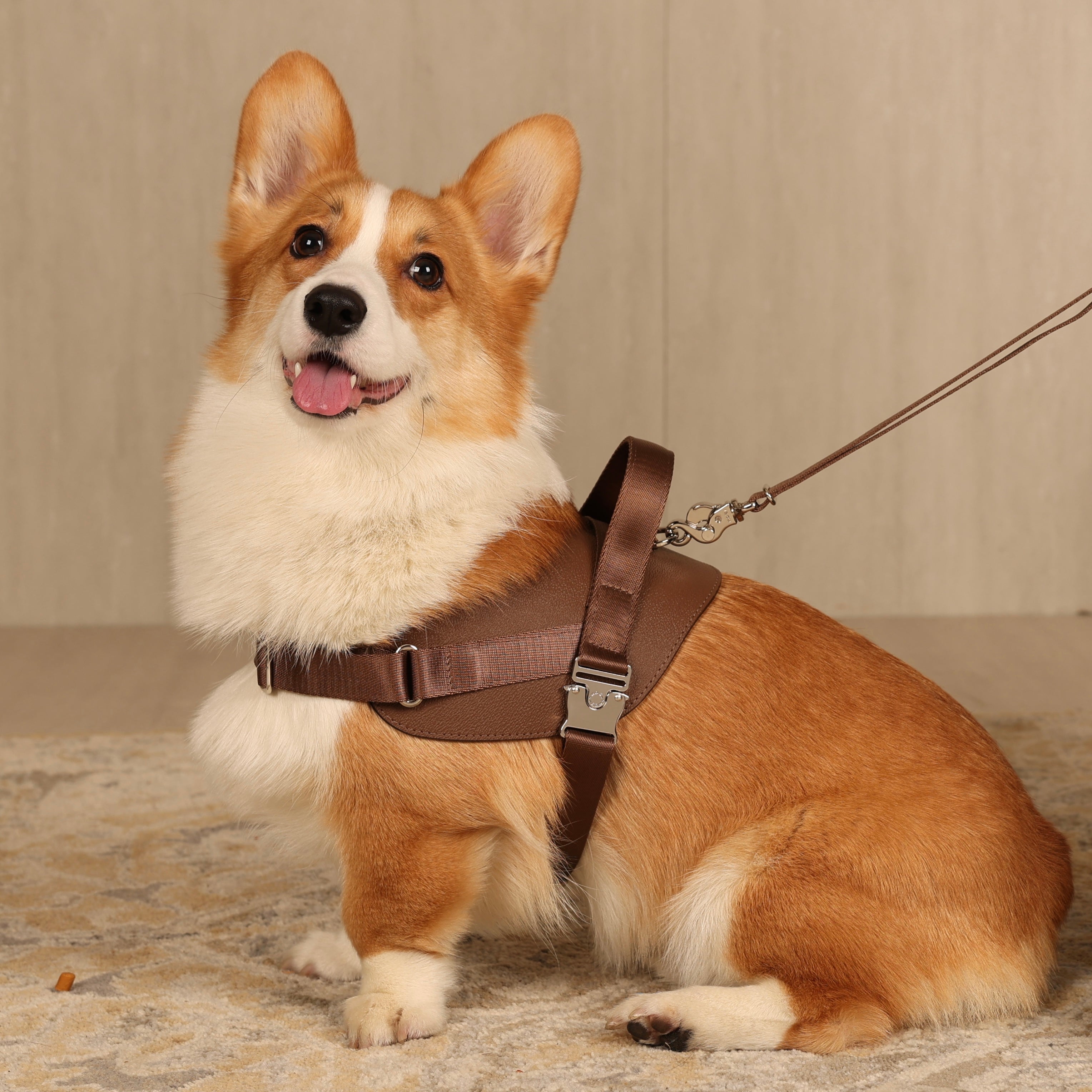 Saddle Harness_MOCHA