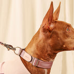 Buckle Strap_PINK