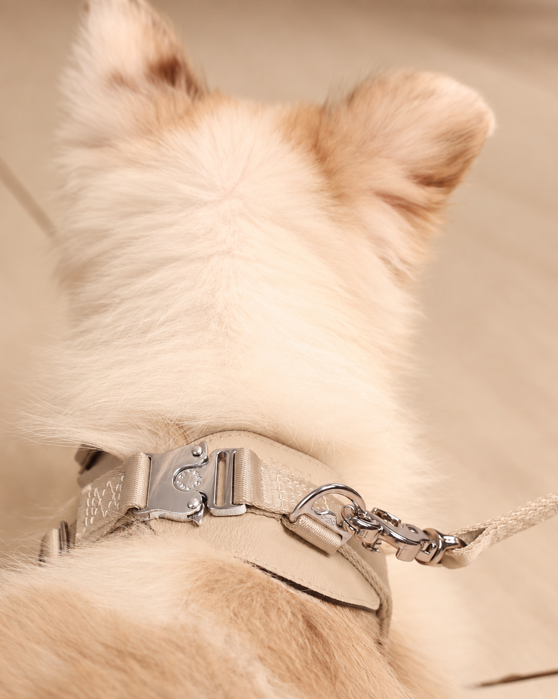 [NEW] Bridle Harness BEIGE