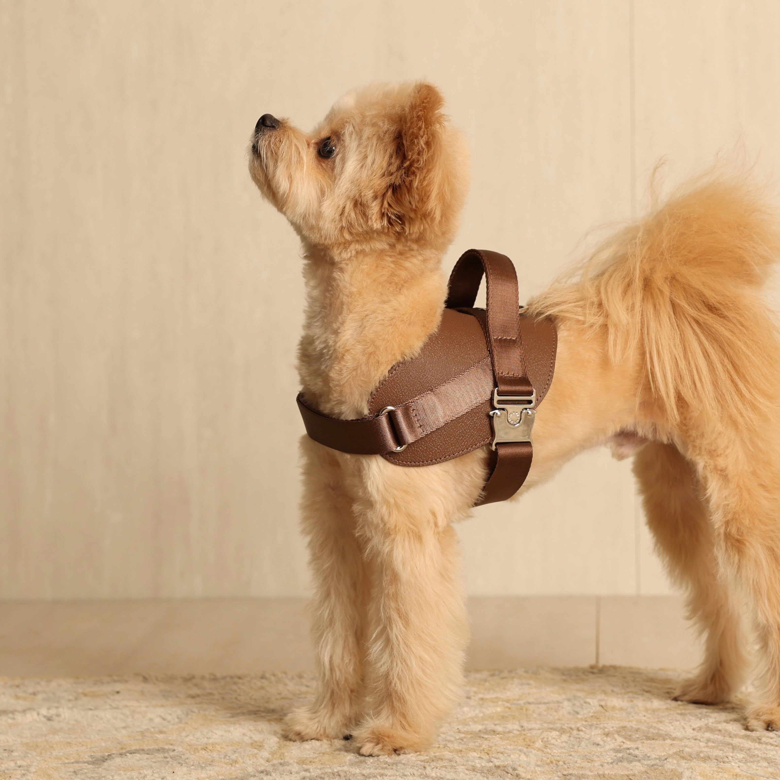 Saddle Harness_MOCHA