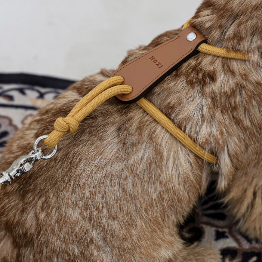 Essential Harness_MUSTARD