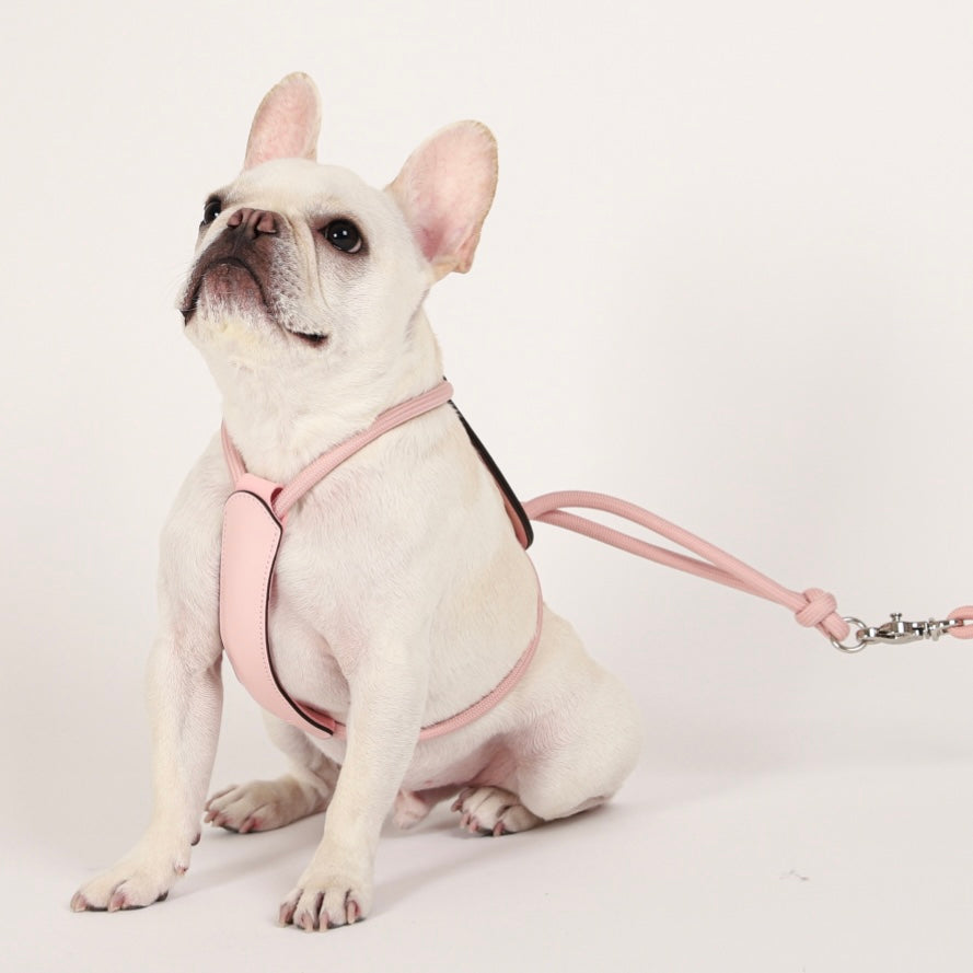Essential Harness_PINK