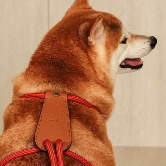 Essential Harness_ORANGE