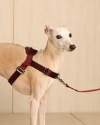 [NEW] Bridle Harness BLCAK