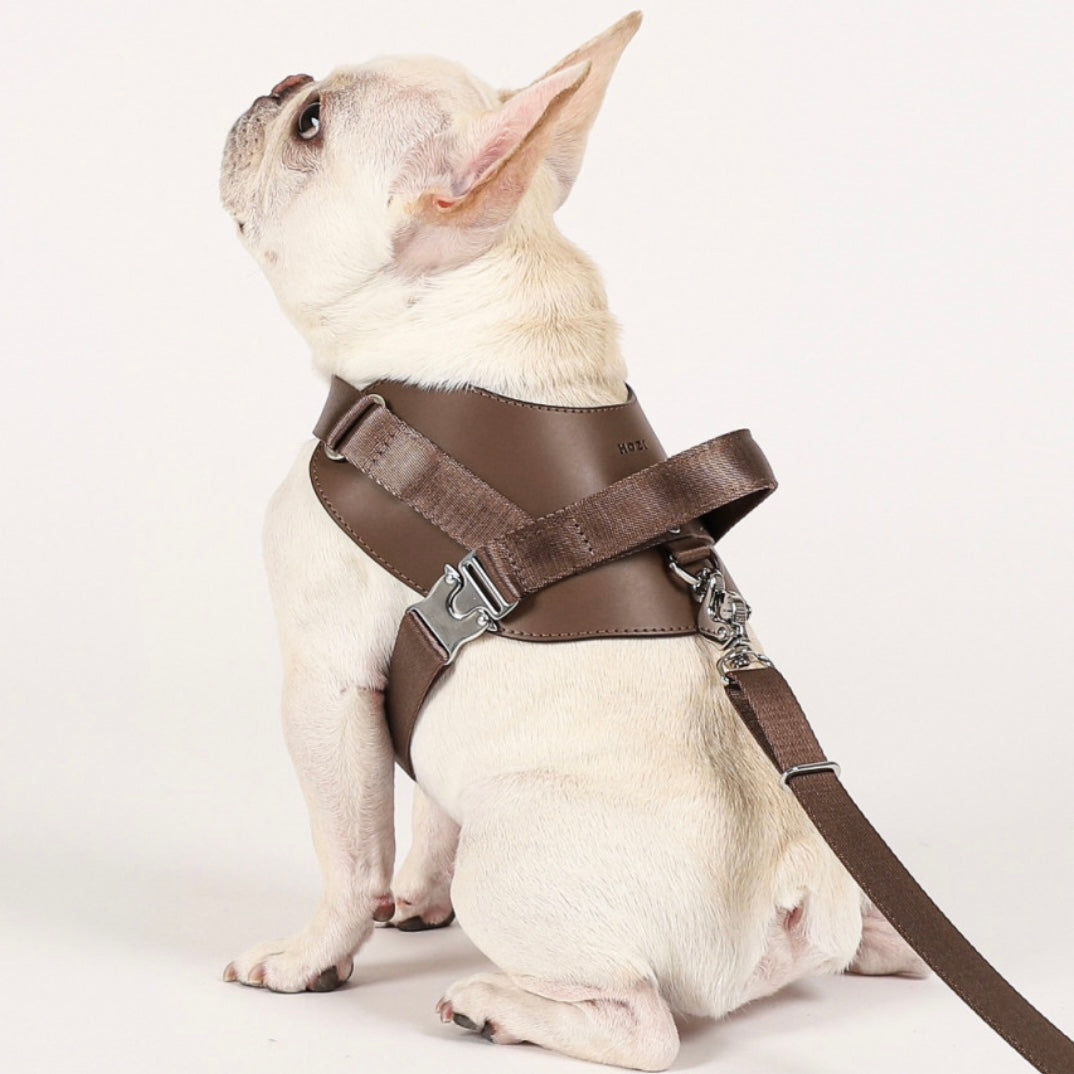 Saddle Harness_MOCHA