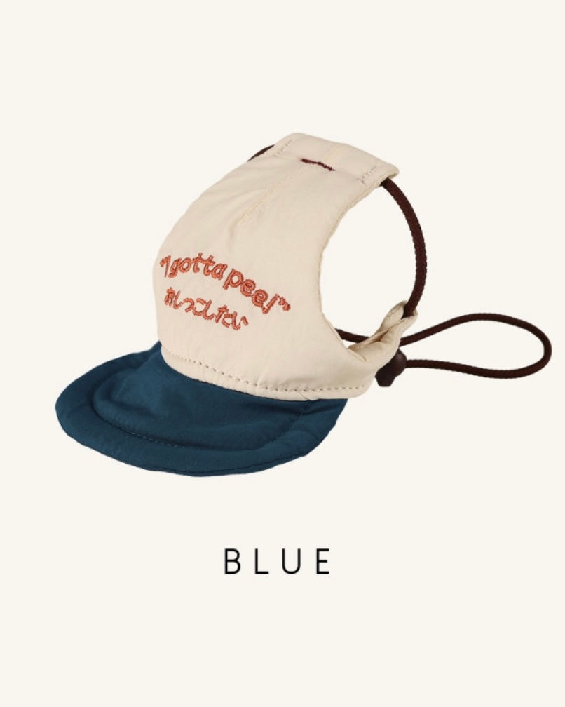 HOZI 5Panel Ballcap_BLUE