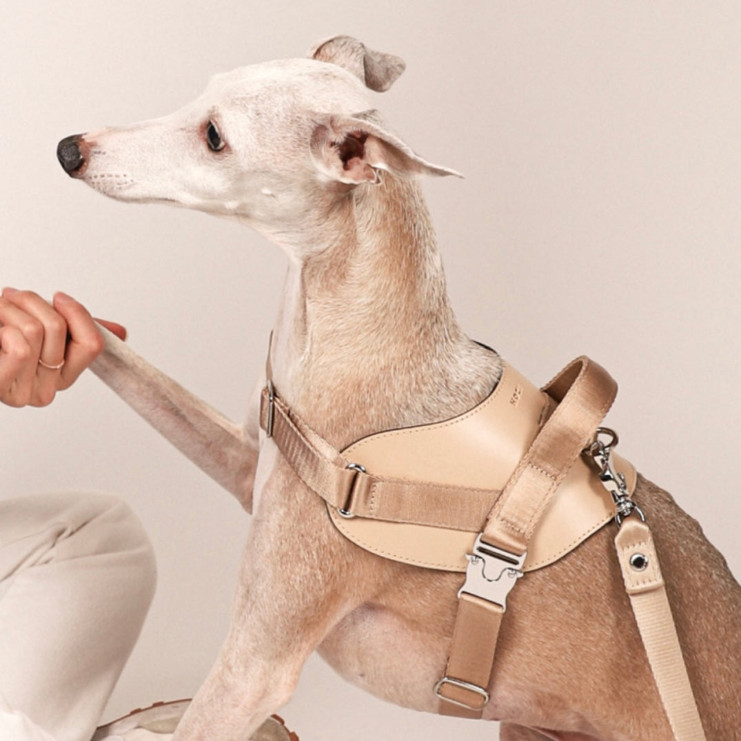 Saddle Harness_BEIGE