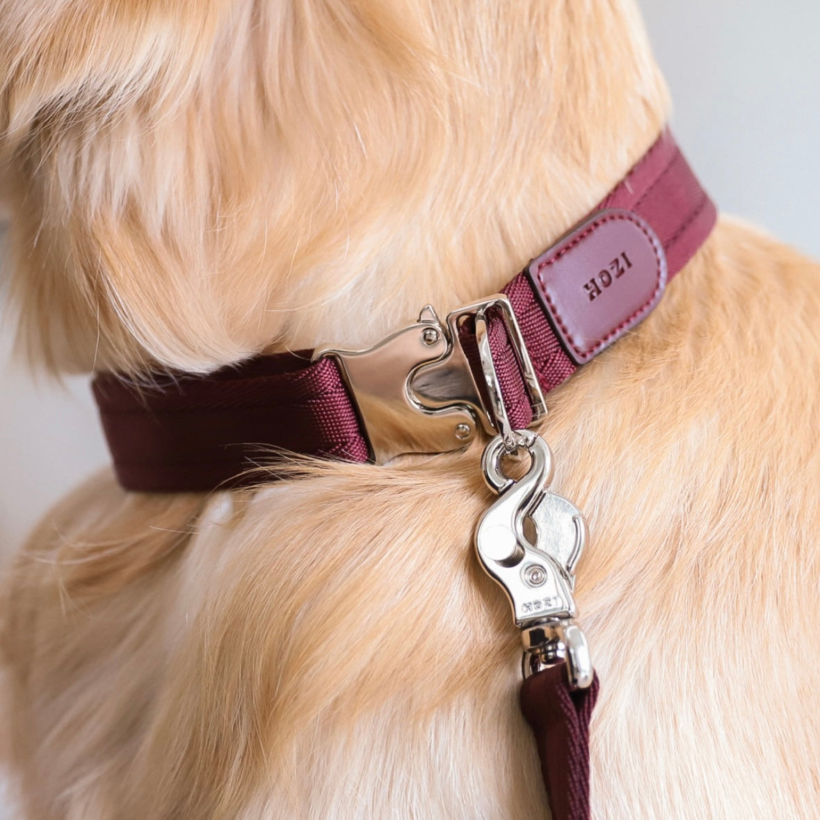 Buckle Strap_BURGUNDY