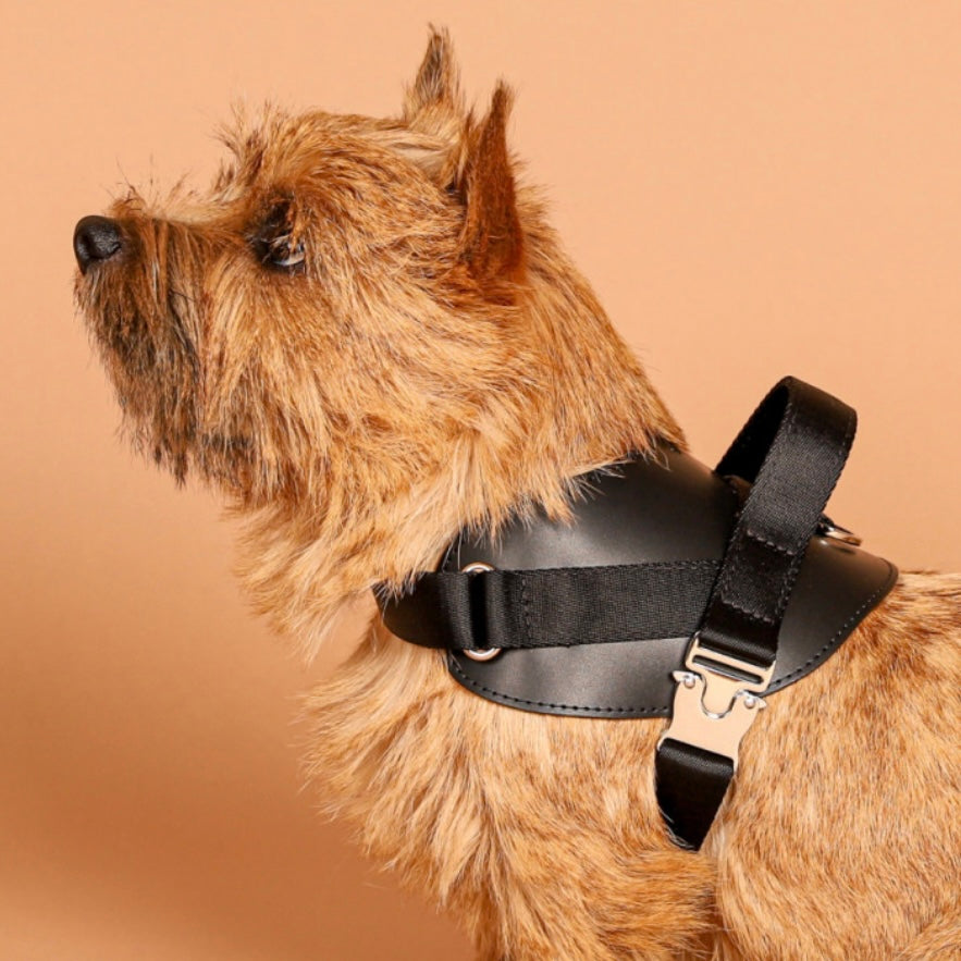 Saddle Harness_BLACK