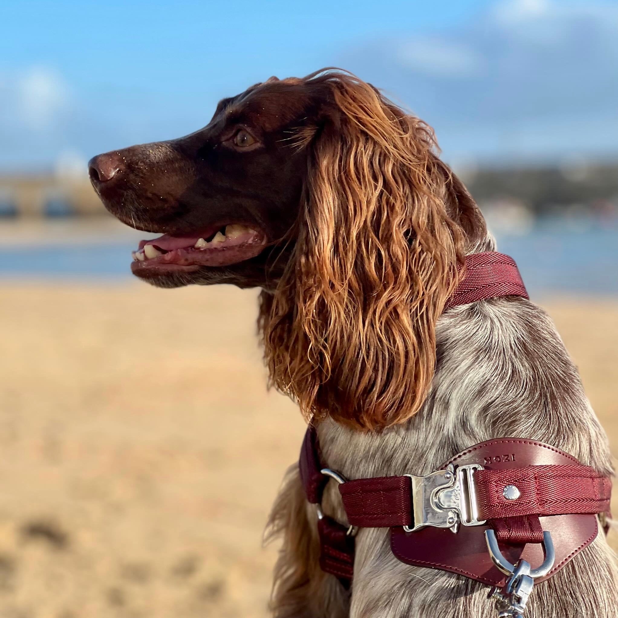 Horsebit Harness_BURGUNDY