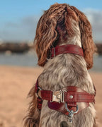 Horsebit Harness BURGUNDY