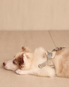[NEW] Bridle Harness BEIGE