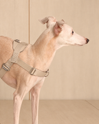 [NEW] Bridle Harness BEIGE