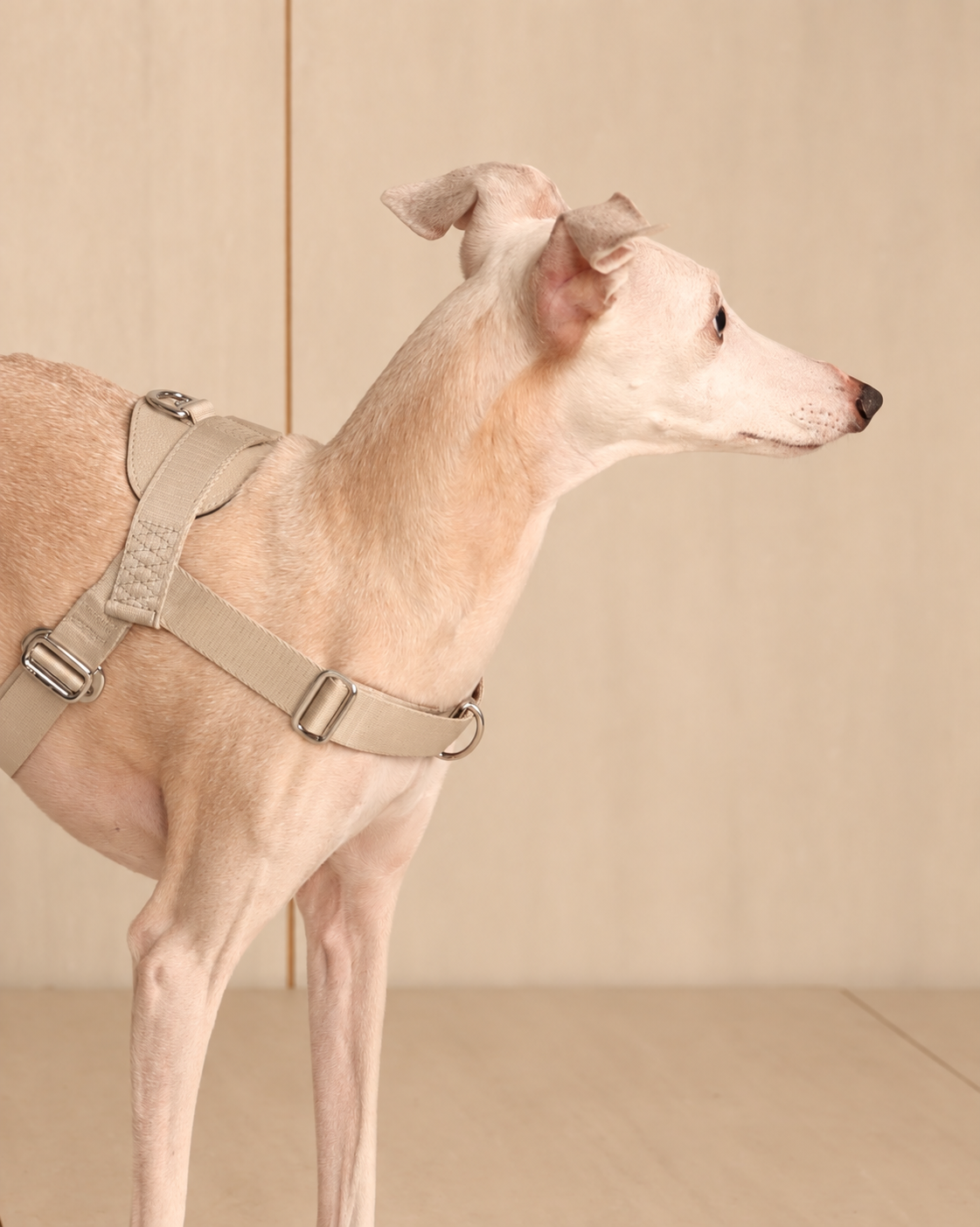 [NEW] Bridle Harness BEIGE
