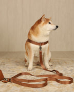 Horsebit Harness CAMEL