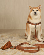 Horsebit Harness CAMEL