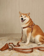 Horsebit Harness CAMEL