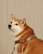Horsebit Harness CAMEL