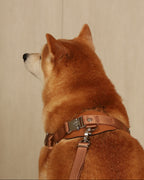 Horsebit Harness CAMEL