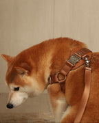 Horsebit Harness CAMEL