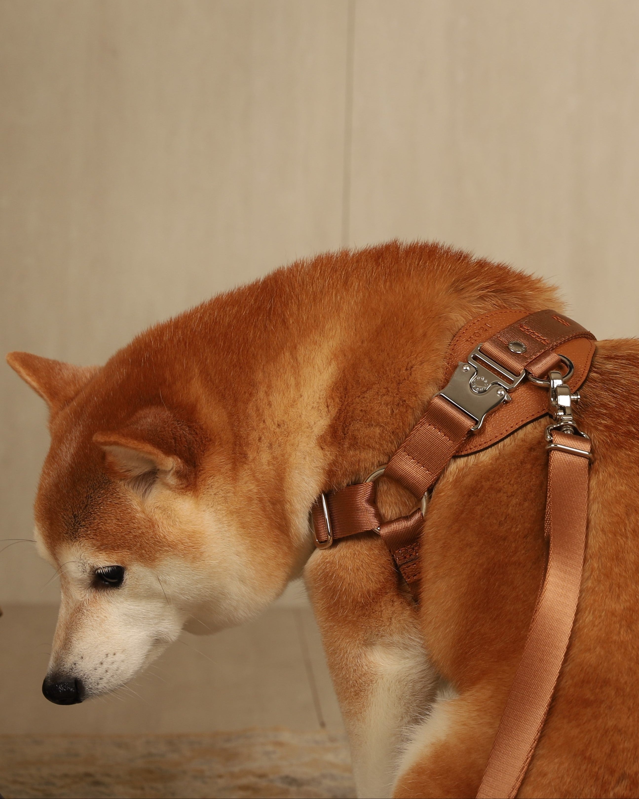 Horsebit Harness CAMEL