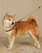 Horsebit Harness CAMEL