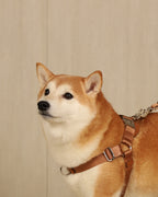 Horsebit Harness CAMEL