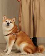 Horsebit Harness CAMEL