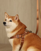 Horsebit Harness CAMEL