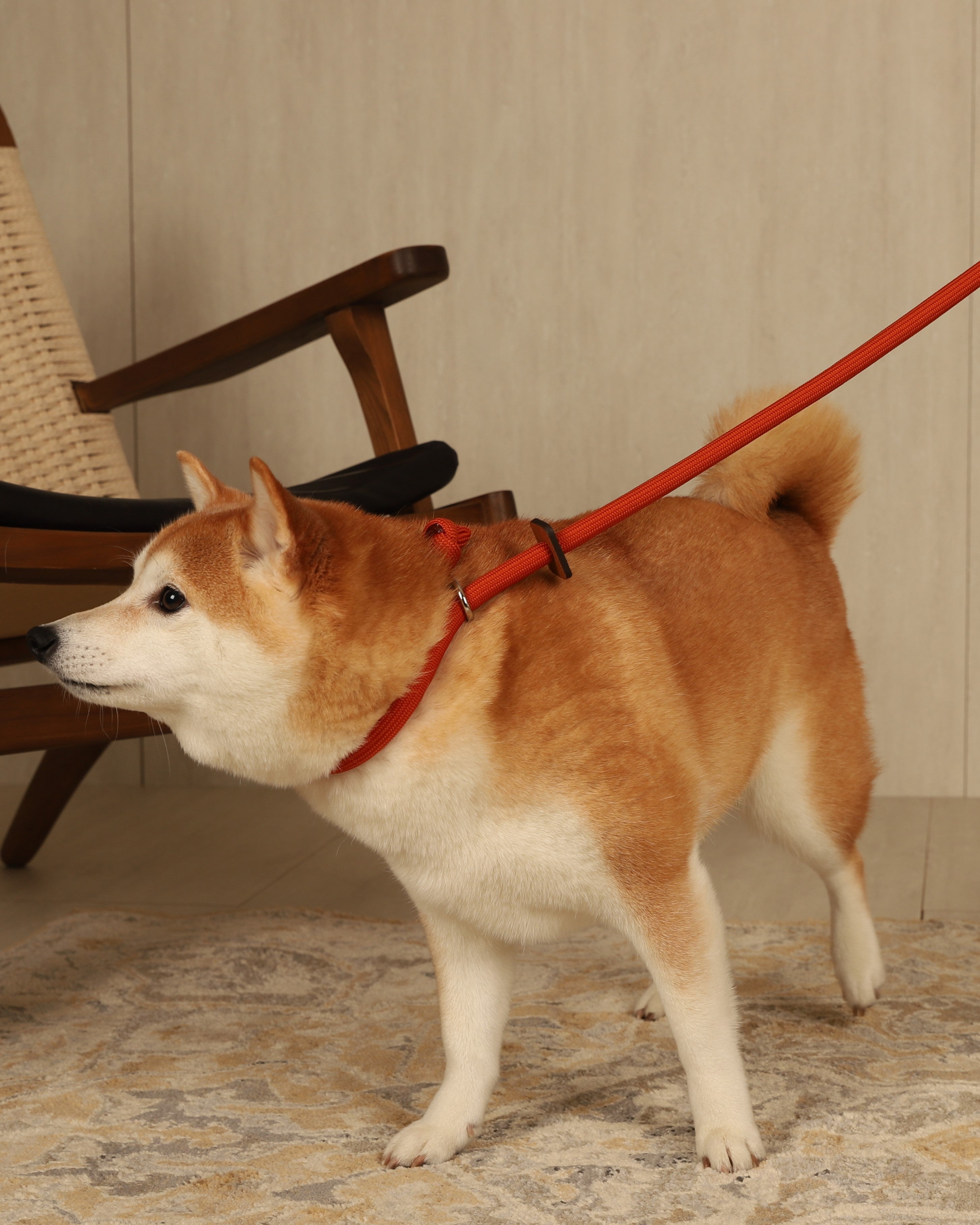 Slip Lead_ORANGE