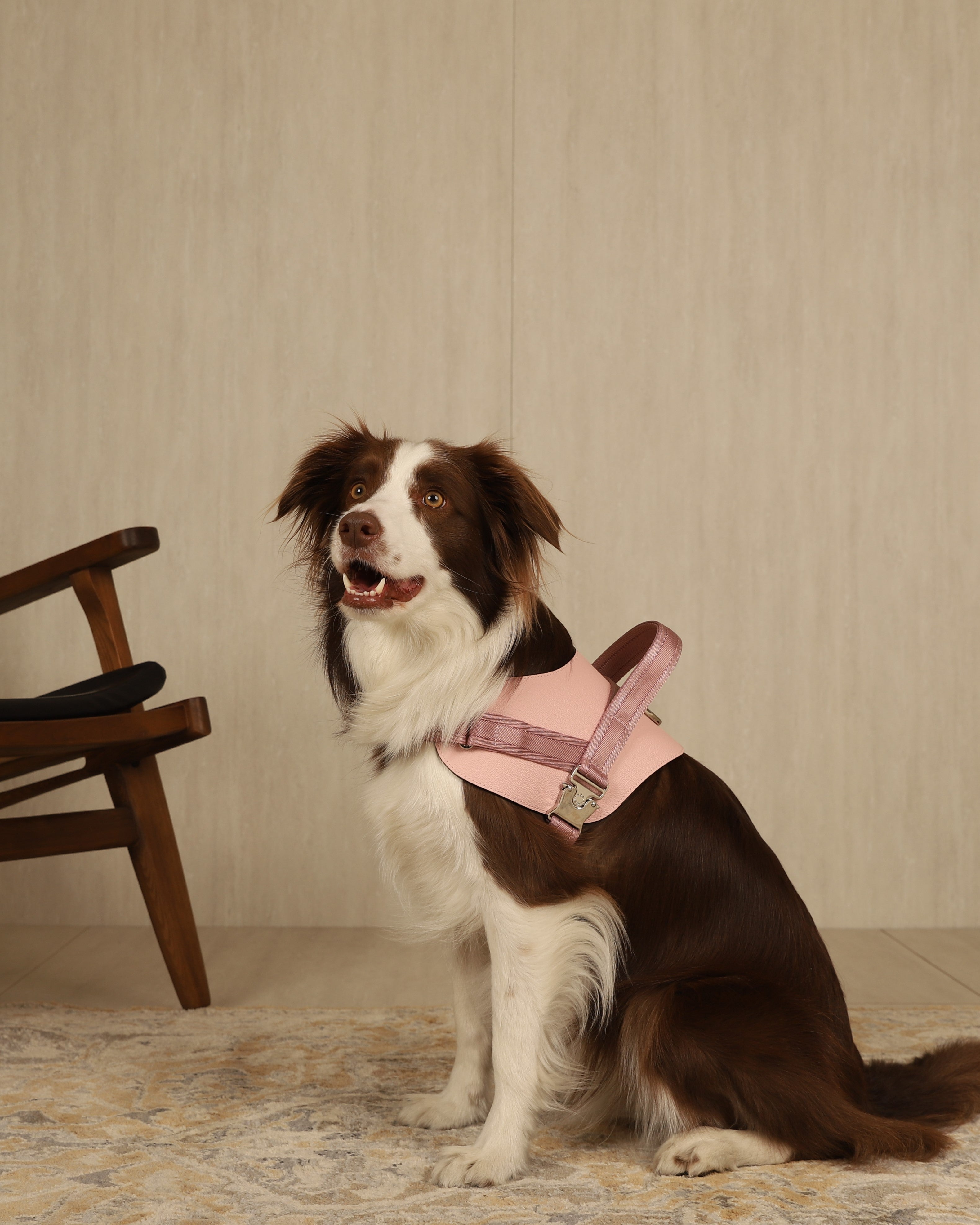 Saddle Harness PINK