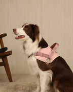 Saddle Harness PINK