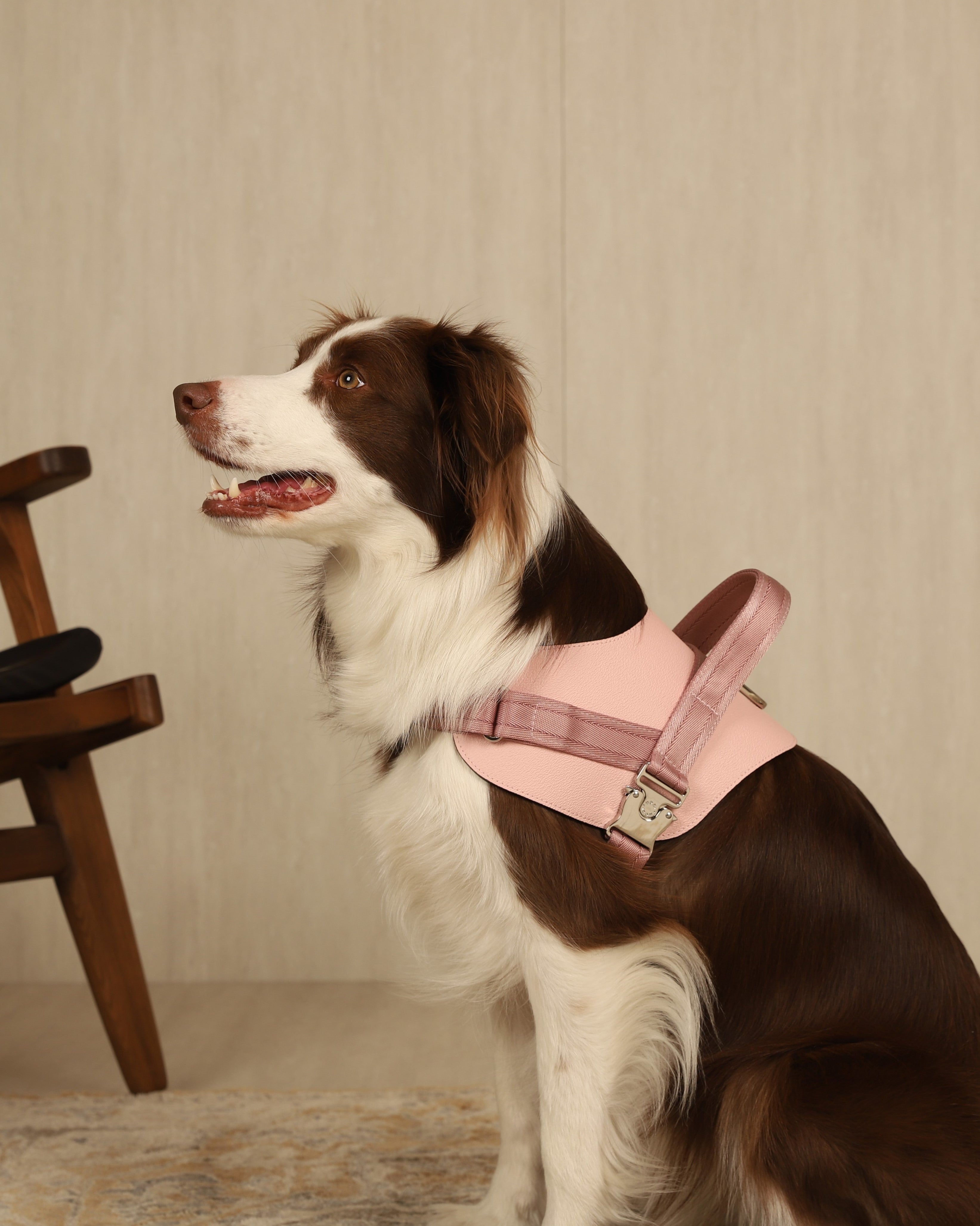 Saddle Harness PINK