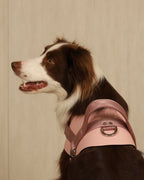 Saddle Harness PINK