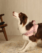 Saddle Harness PINK