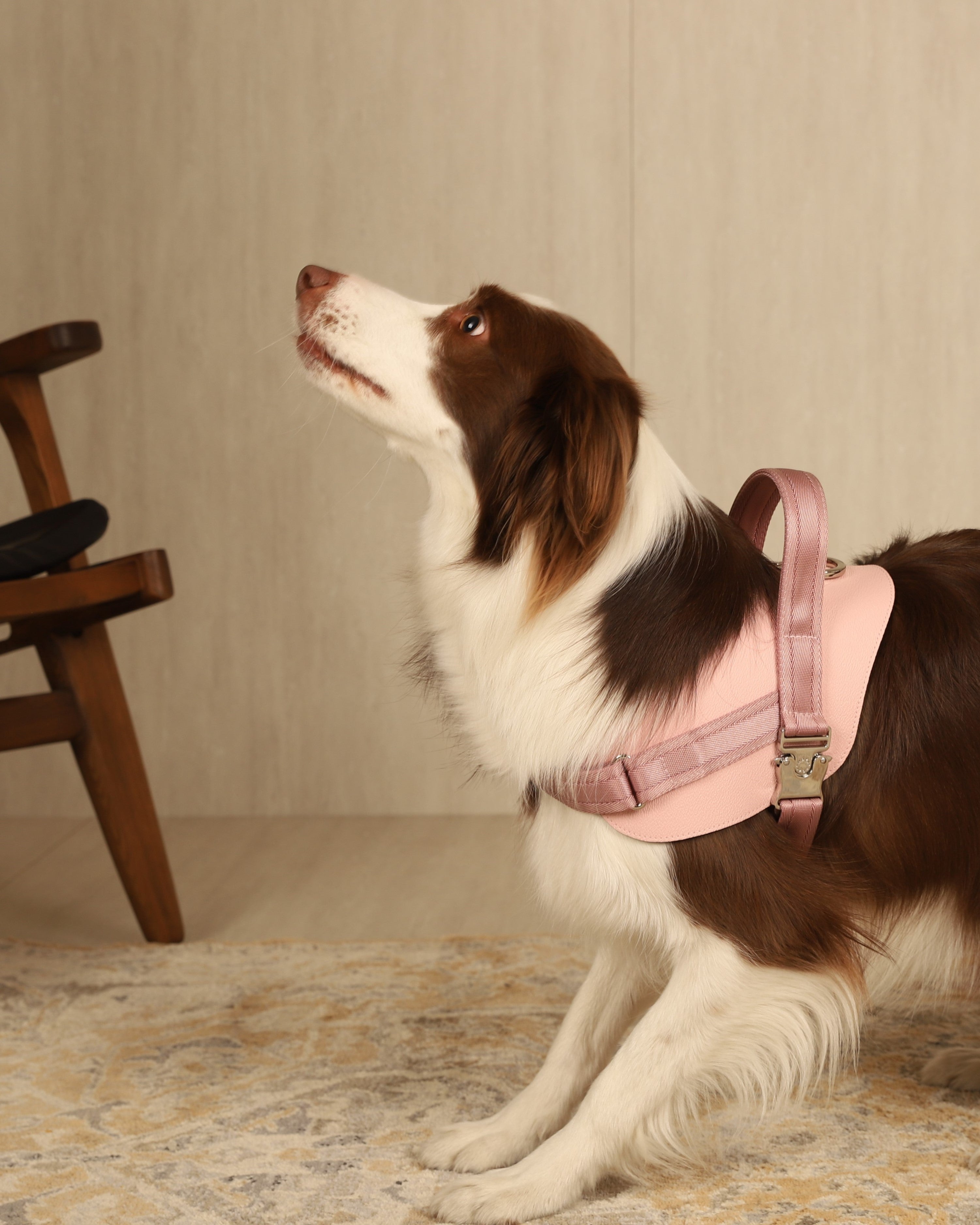 Saddle Harness PINK