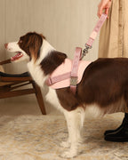 Manner Handle_PINK