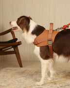 Saddle Harness CAMEL