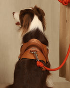 Saddle Harness CAMEL