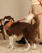 Saddle Harness CAMEL